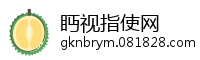 眄视指使网
